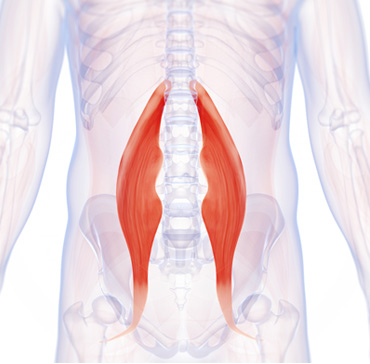 Hip Flexors and Back Pain